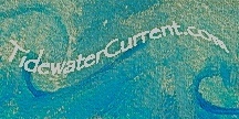 TidewaterCurrent.com logo